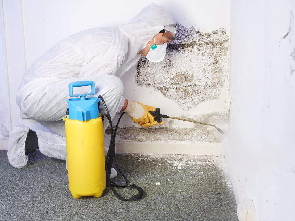 Fire Damage Restoration