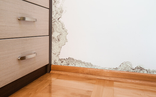 Fire Damage Restoration