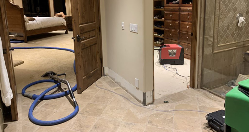 Mold Remediation