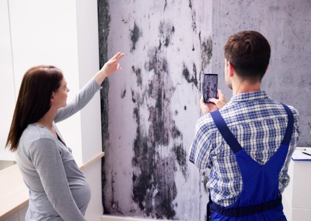 water damage insurance
