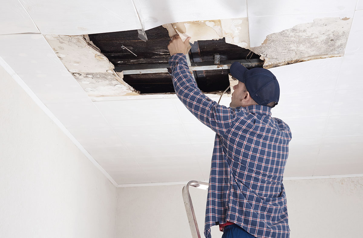 water damage restoration